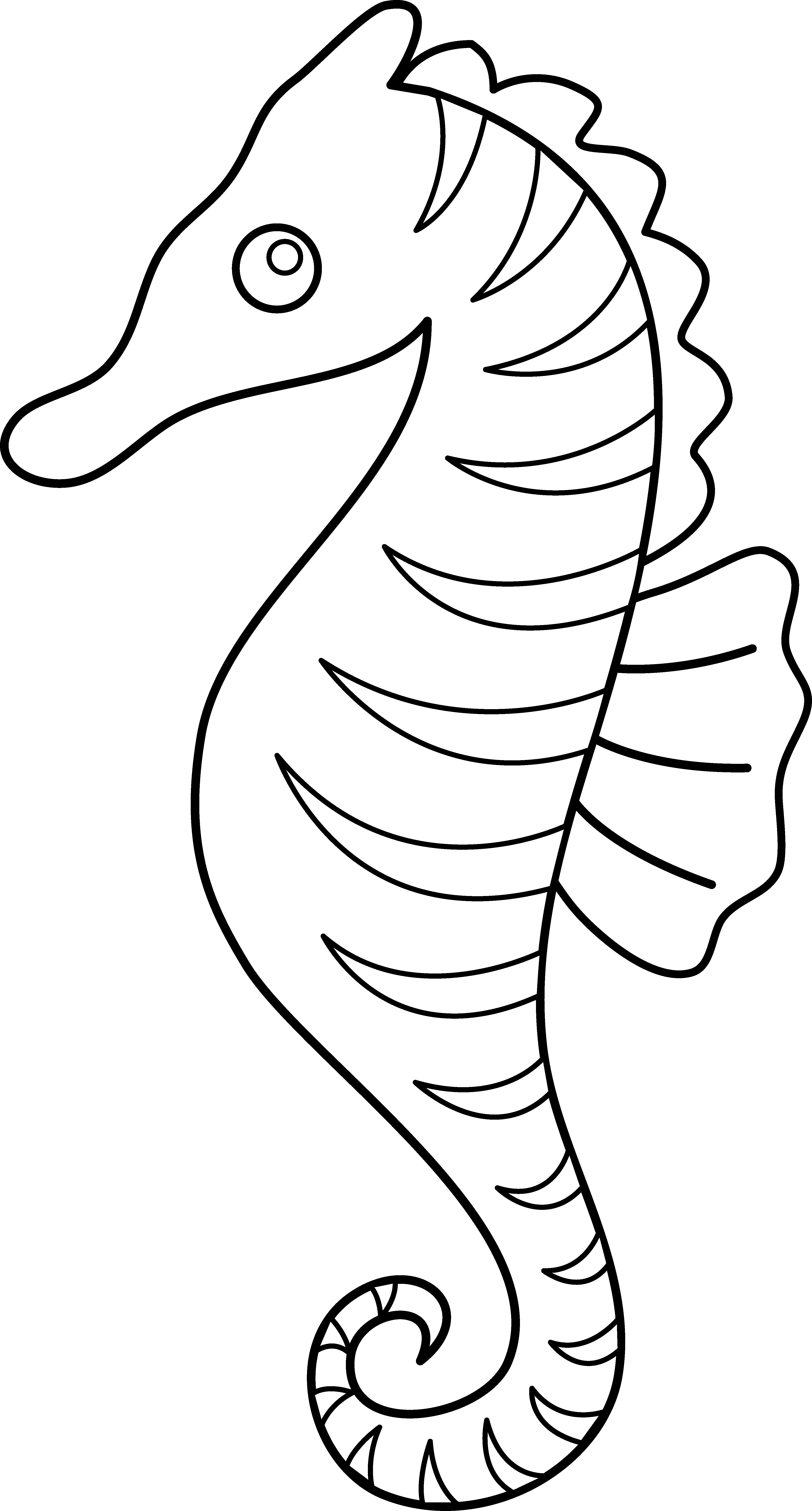 Seahorse Drawing Picture