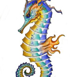 Seahorse Drawing Sketch