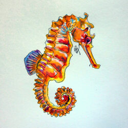 Seahorse Drawing Stunning Sketch