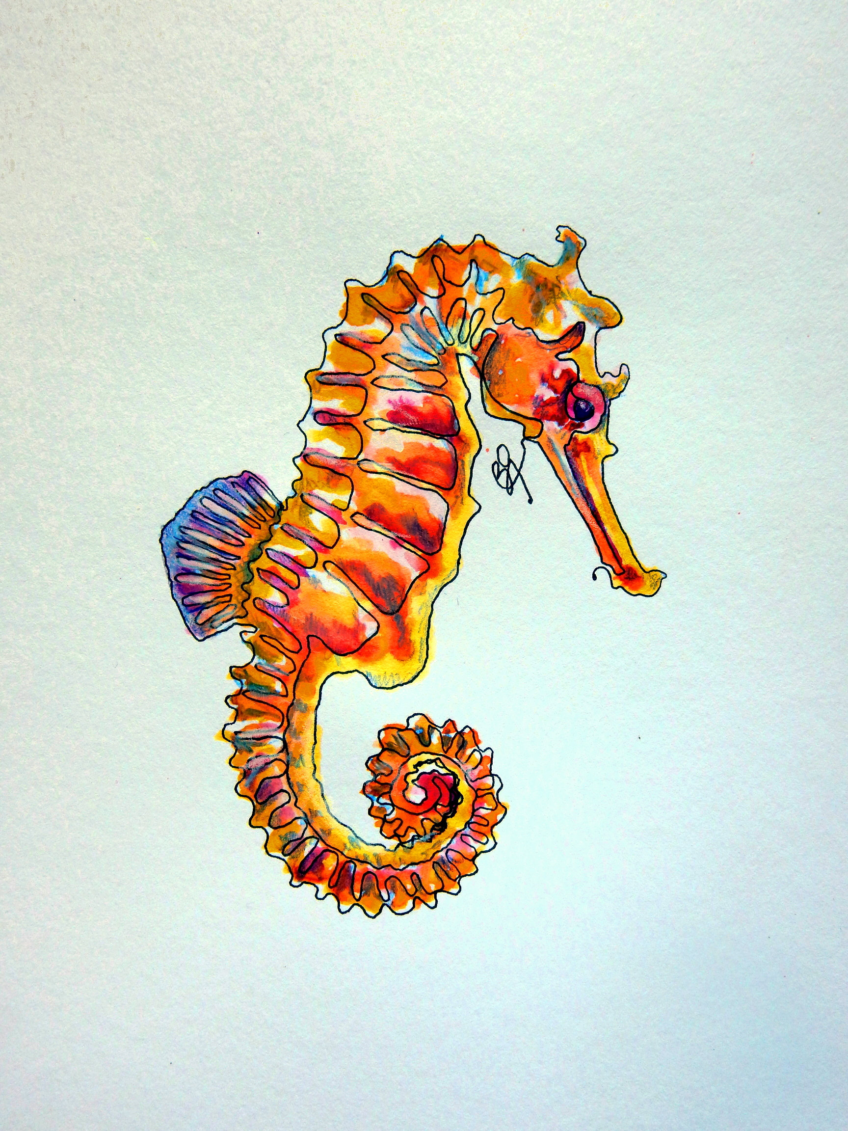 Seahorse Drawing Stunning Sketch