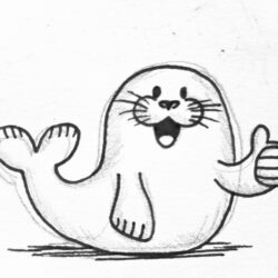 Seal Drawing Artistic Sketching