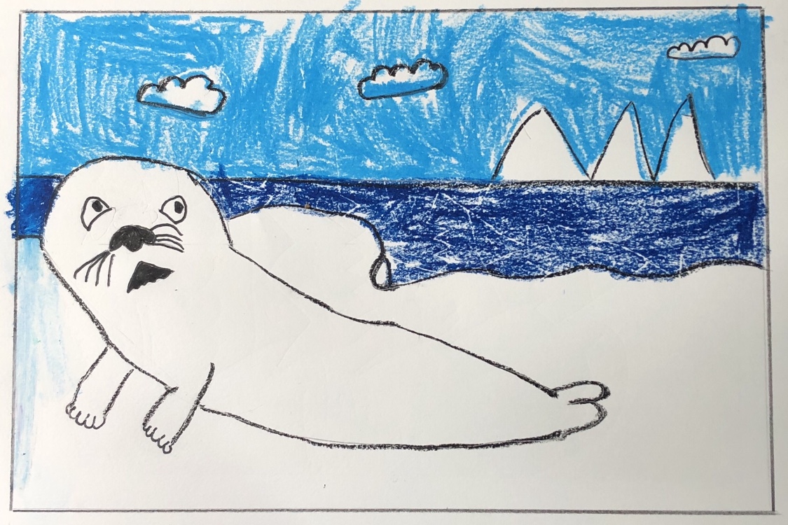 Seal Drawing Professional Artwork