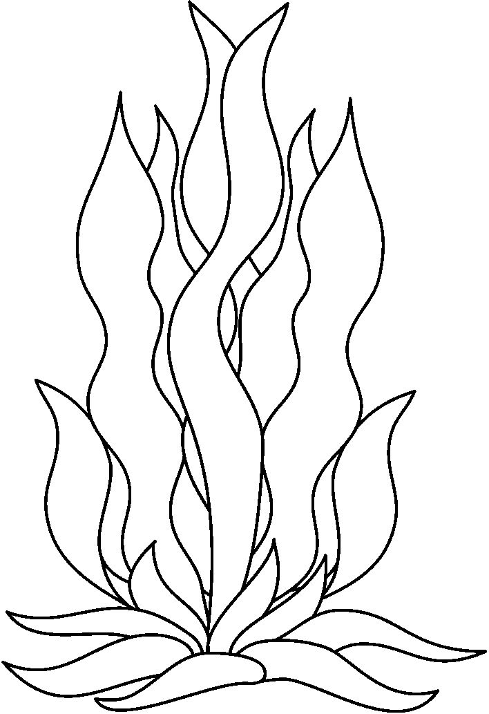 Seaweed Drawing Modern Sketch