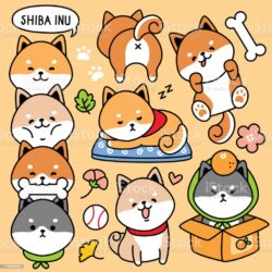 Shiba Inu Drawing Art