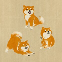 Shiba Inu Drawing Stunning Sketch