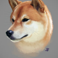 Shiba Inu Drawing Unique Art