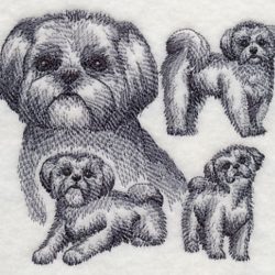 Shih Tzu Drawing Hand drawn Sketch