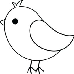 Simple Bird Drawing Creative Style