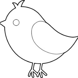 Simple Bird Drawing Intricate Artwork