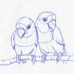 Simple Bird Drawing Photo