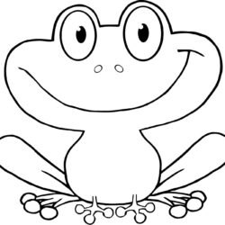 Simple Frog Drawing Art