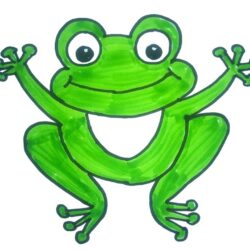 Simple Frog Drawing Stunning Sketch