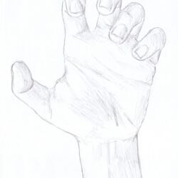 Simple Hand Drawing Amazing Sketch