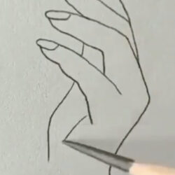 Simple Hand Drawing Detailed Sketch