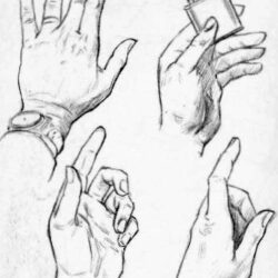 Simple Hand Drawing Intricate Artwork