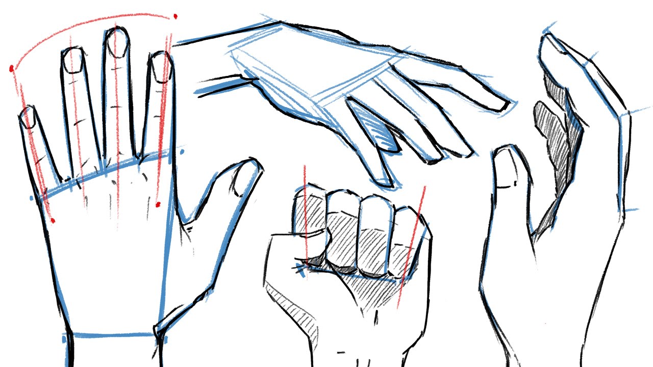 How to Draw Simple Hand Step by Step Guide - Drawing All