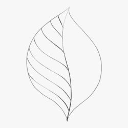 Simple Leaf Drawing Fine Art