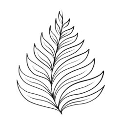 Simple Leaf Drawing Realistic Sketch