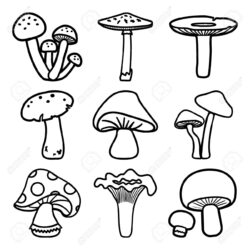 Simple Mushroom Drawing Picture