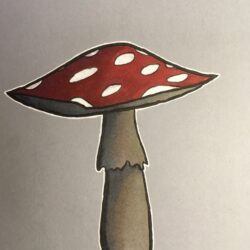 Simple Mushroom Drawing Professional Artwork