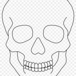 Simple Skull Drawing Amazing Sketch