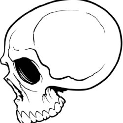 Simple Skull Drawing Hand Drawn