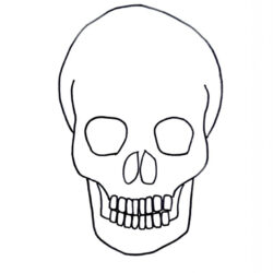 Simple Skull Drawing Modern Sketch