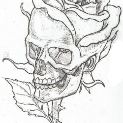 Simple Skull Drawing Sketch