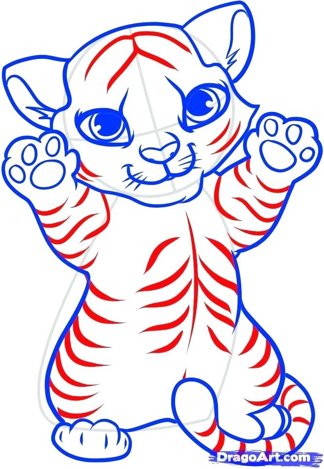 Simple Tiger Drawing Art