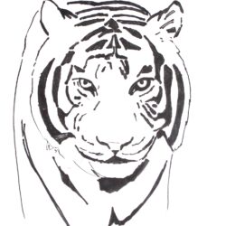 Simple Tiger Drawing Creative Style