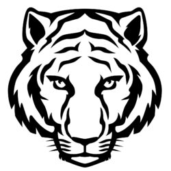 Simple Tiger Drawing Professional Artwork