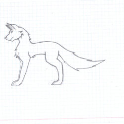 Simple Wolf Drawing Image