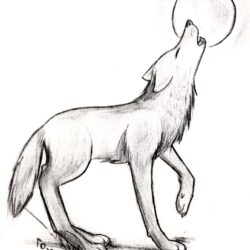 Simple Wolf Drawing Intricate Artwork