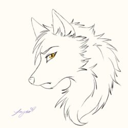 Simple Wolf Drawing Stunning Sketch