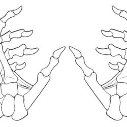 Skeleton Hand Tattoo Drawing Detailed Sketch