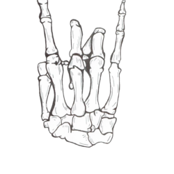 Skeleton Hand Tattoo Drawing Fine Art