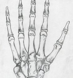 Skeleton Hand Tattoo Drawing Intricate Artwork