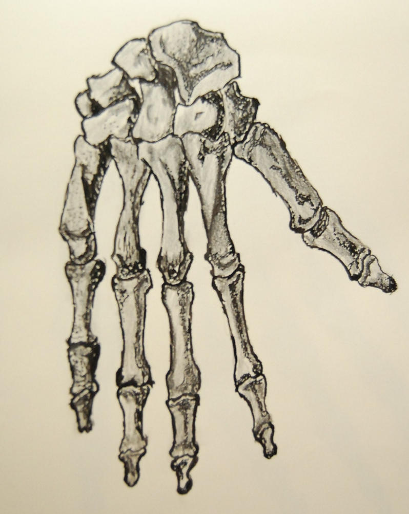 Skeleton Hand Tattoo Drawing Modern Sketch