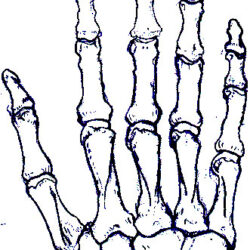 Skeleton Hand Tattoo Drawing Photo