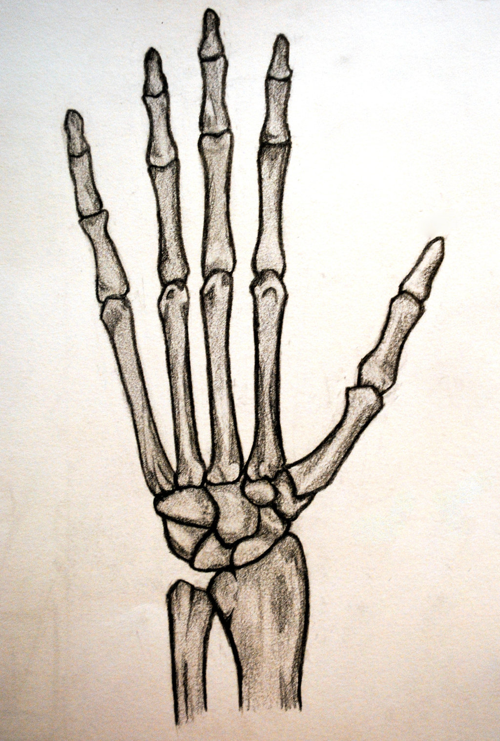 Skeleton Hand Tattoo Drawing Unique Art