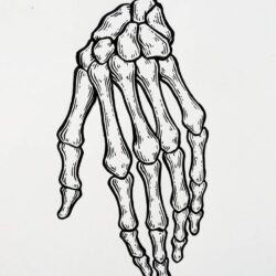 Skull Hand Drawing