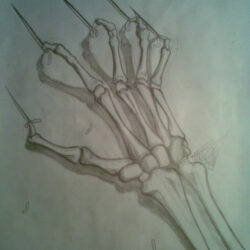 Skull Hand Drawing Stunning Sketch