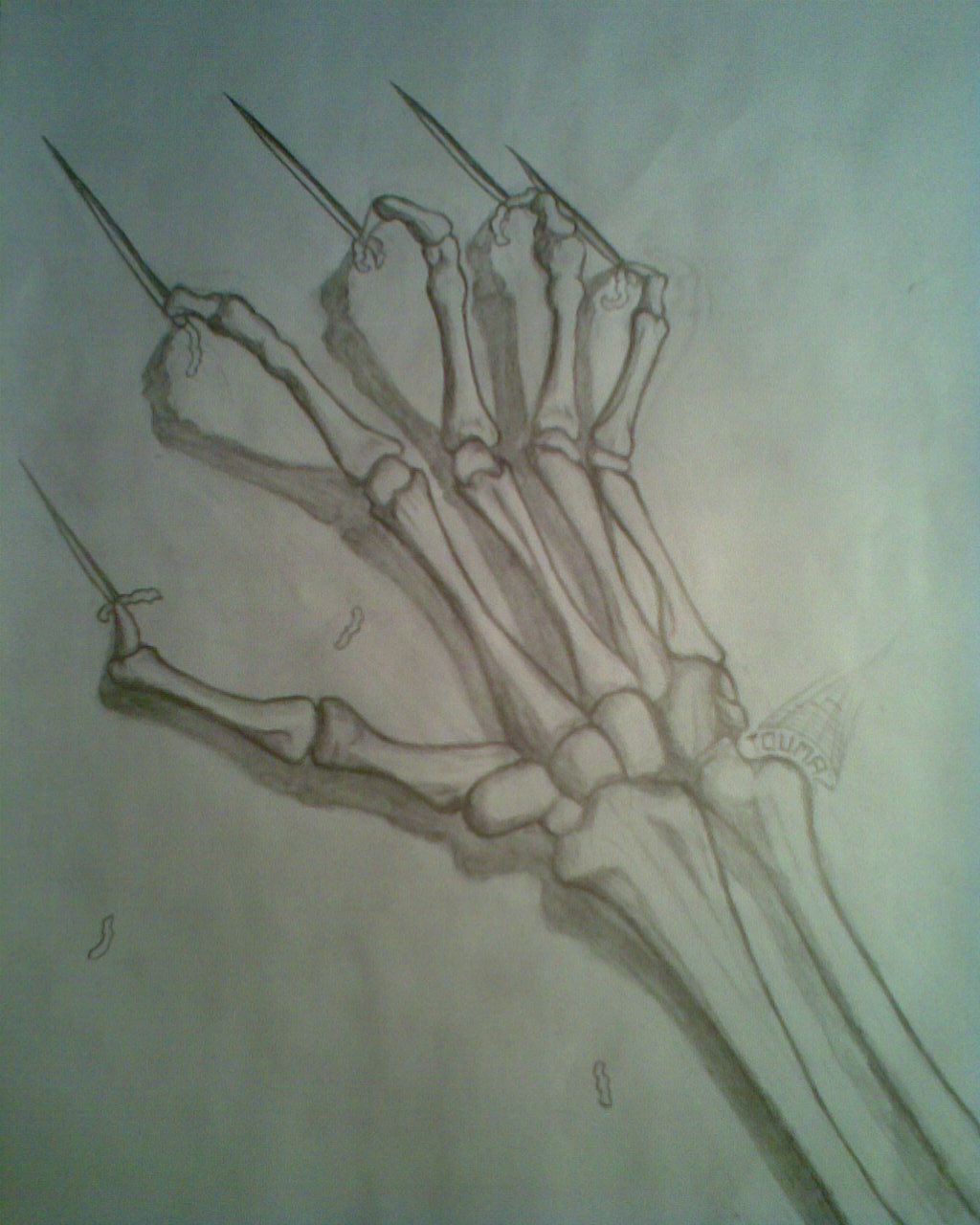 Skull Hand Drawing Stunning Sketch