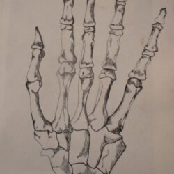 Skull Hand Drawing Unique Art