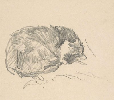 Sleeping, Resting, Slumbering, Napping, Dozing Drawing