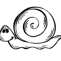 Snail Drawing