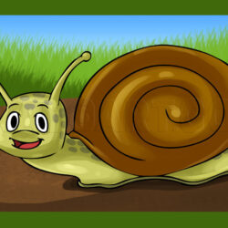 Snail Drawing Art