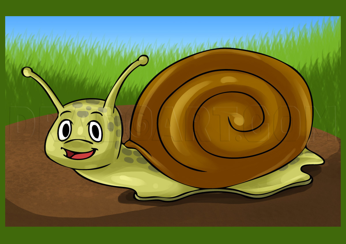 Snail Drawing Art