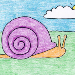 Snail Drawing Fine Art