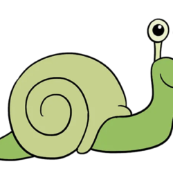 Snail Drawing Hand Drawn